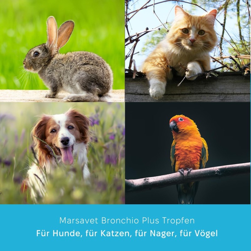 Marsavet Bronchio Plus Tropfen – Atemweg Unterstützung – with cat