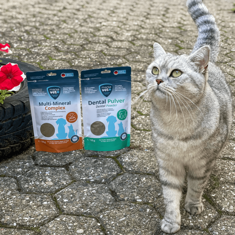 Marsavet Multi-Mineral Pulver – Hunde, Katzen 125 g – Bild 13