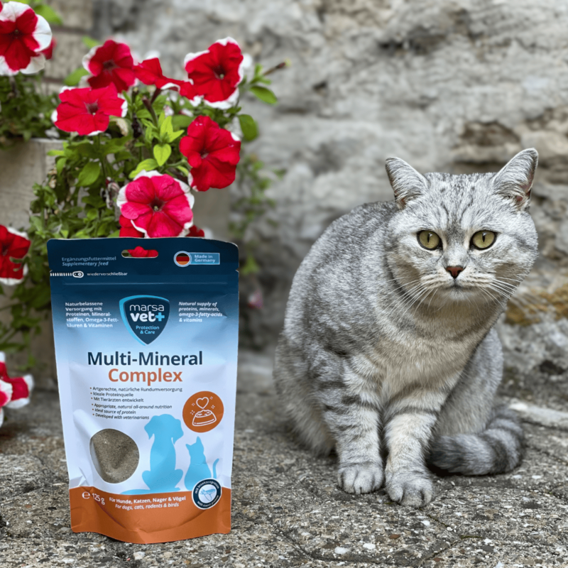 Marsavet Multi-Mineral Pulver – Hunde, Katzen 125 g – Bild 6