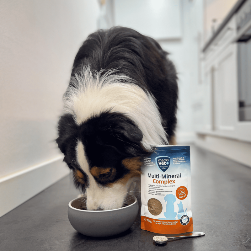 Marsavet Multi-Mineral Pulver – Hunde, Katzen 125 g – Bild 8