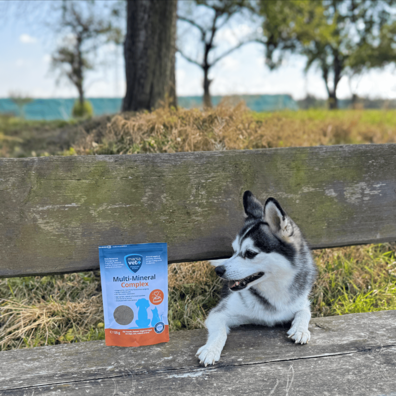 Marsavet Multi-Mineral Pulver – Hunde, Katzen 125 g – Bild 10