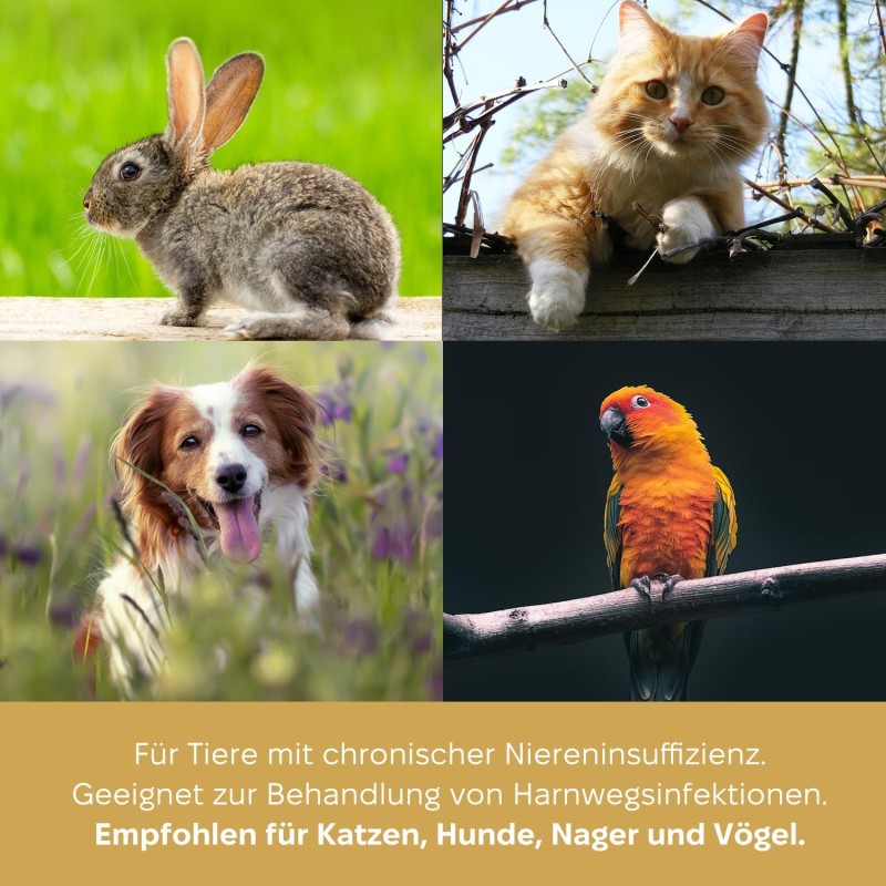 Marsavet Multi-Mineral Pulver – Hunde, Katzen 125 g – Bild 7