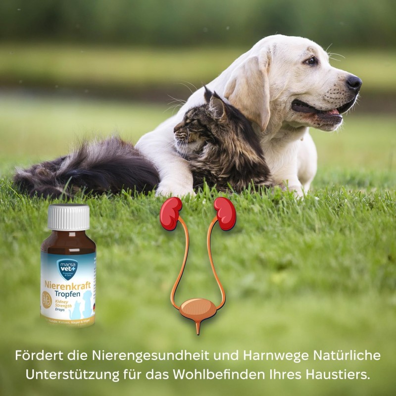 Marsavet Multi-Mineral Pulver – Hunde, Katzen 125 g – Bild 8