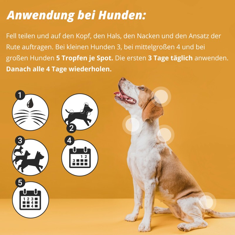 Marsavet Spot-on – Zecken- & Flohschutz 50 ml – Bild 6