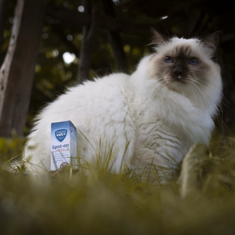 Marsavet Spot-on – Zecken- & Flohschutz 50 ml – with cat