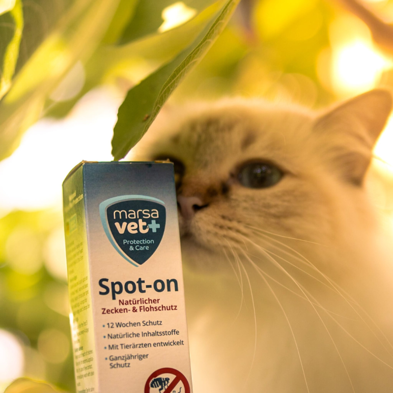Marsavet Spot-on – Zecken- & Flohschutz 50 ml – with cat