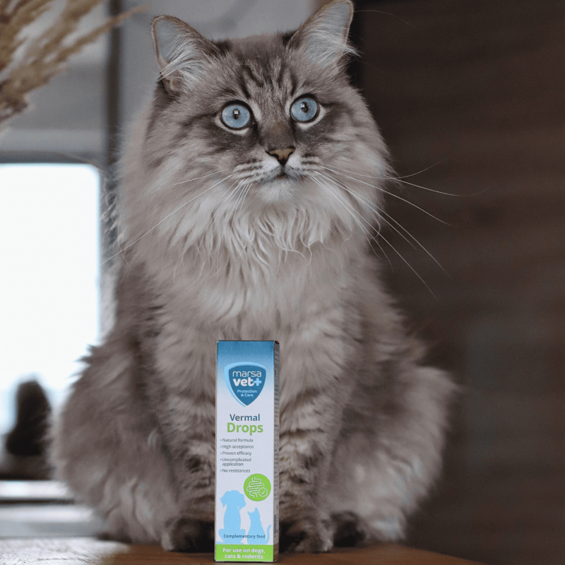 Marsavet Vermal Dråber – Efter Ormeangreb 50 ml – med kat