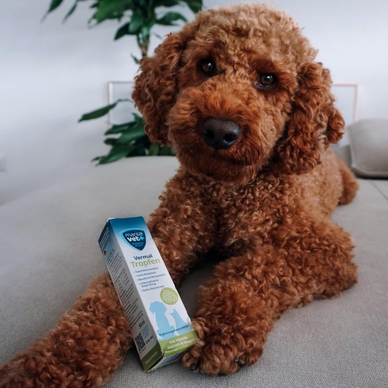 Marsavet Vermal Dråber – Efter Ormeangreb 50 ml – med hund