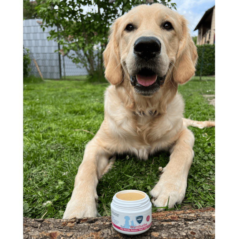 Marsavet wondzalf – wondgenezing huisdieren 30 ml – with dog
