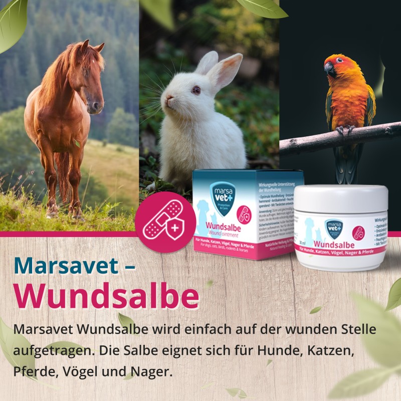 Marsavet wondzalf – wondgenezing huisdieren 30 ml – ointment